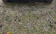 Suzuki Grand Vitara 2006 Gasoline Manual Image 0