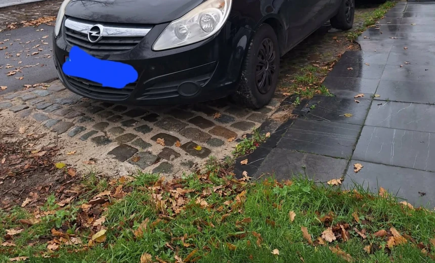 Opel Corsa 2009 Gasoline Manual Image 0