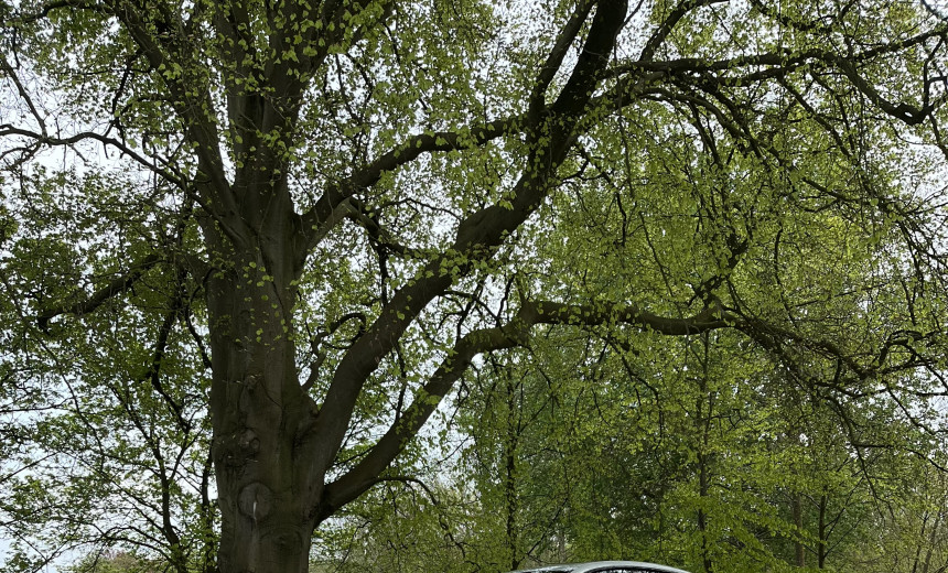 BMW 430 2016 Gasoline Automatic Image 4