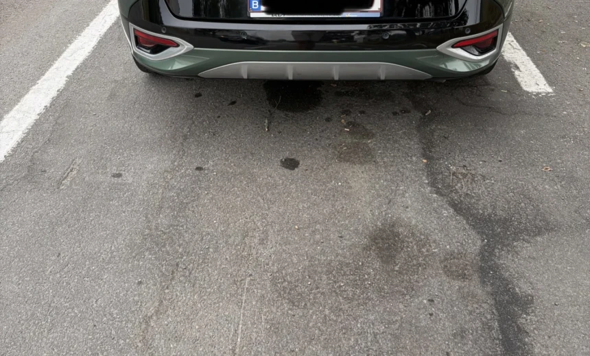 Kia Sportage 2023 Hybrid Electric/Gasoline Automatic Image 3