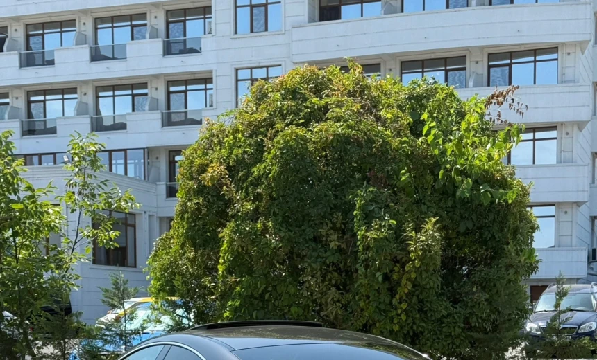 Mercedes-Benz CLS 300 2018 Diesel Automatic Image 3