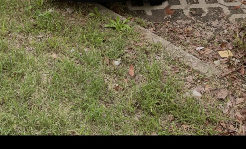 MINI One 2017 Gasoline Manual Image 0