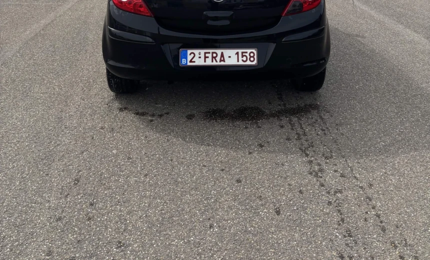 Opel Corsa 2008 Gasoline Manual Image 2