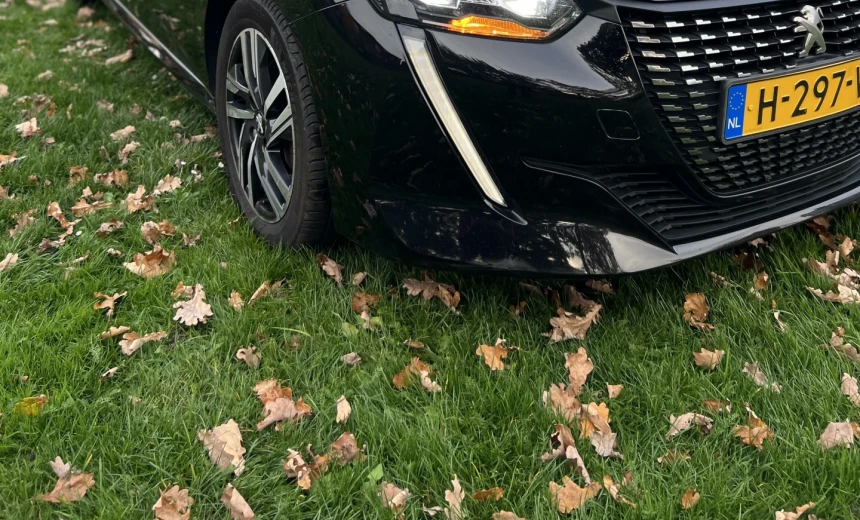 Peugeot 208 2020 Gasoline Manual Image 8