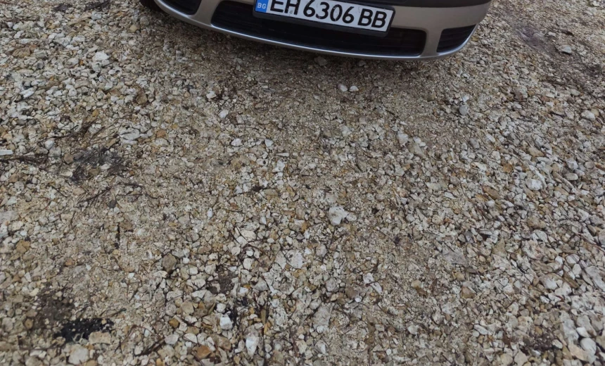 Fiat Punto 2004 Gasoline Manual Image 4