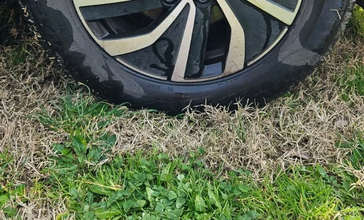 Volkswagen Polo 2022 Gasoline Manual Image 3