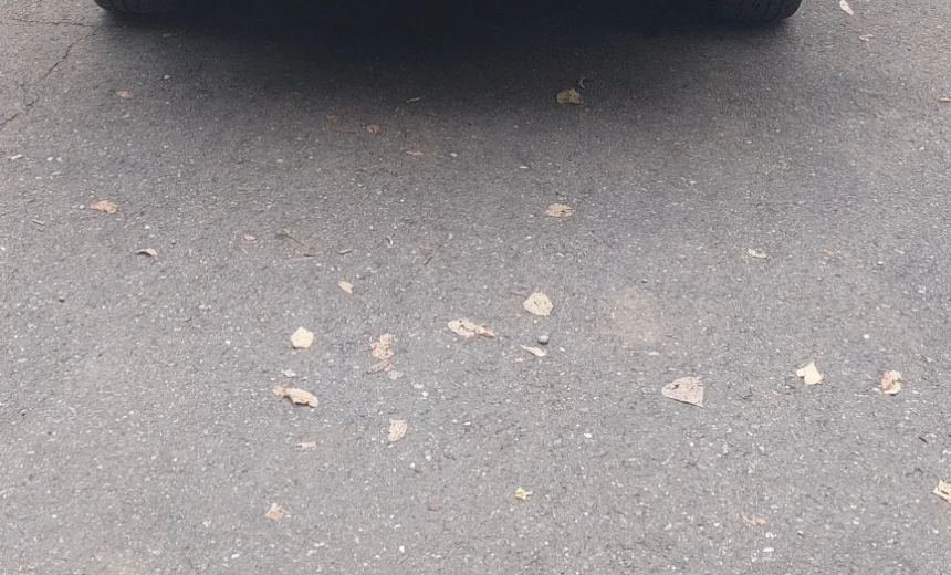 Hyundai Tucson 2008 Gasoline Manual Image 0