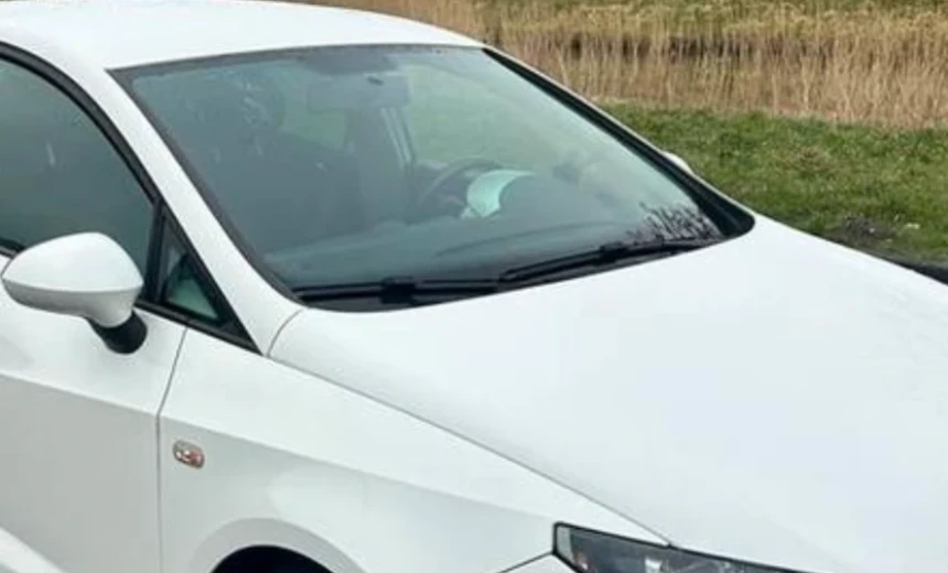 SEAT Ibiza 2008 Gasoline Manual Image 1