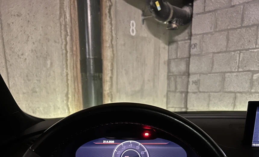 Audi RS3 2019 Gasoline Automatic Image 7