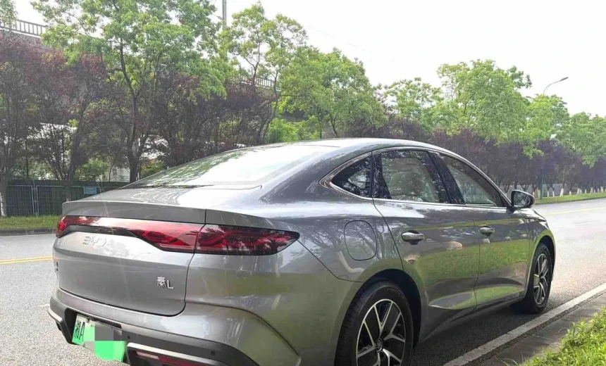 BYD Others 2024 Hydrogen Automatic Image 6