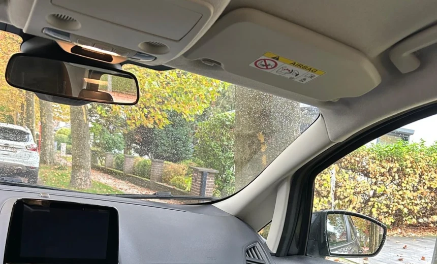 Ford EcoSport 2020 Gasoline Manual Image 5