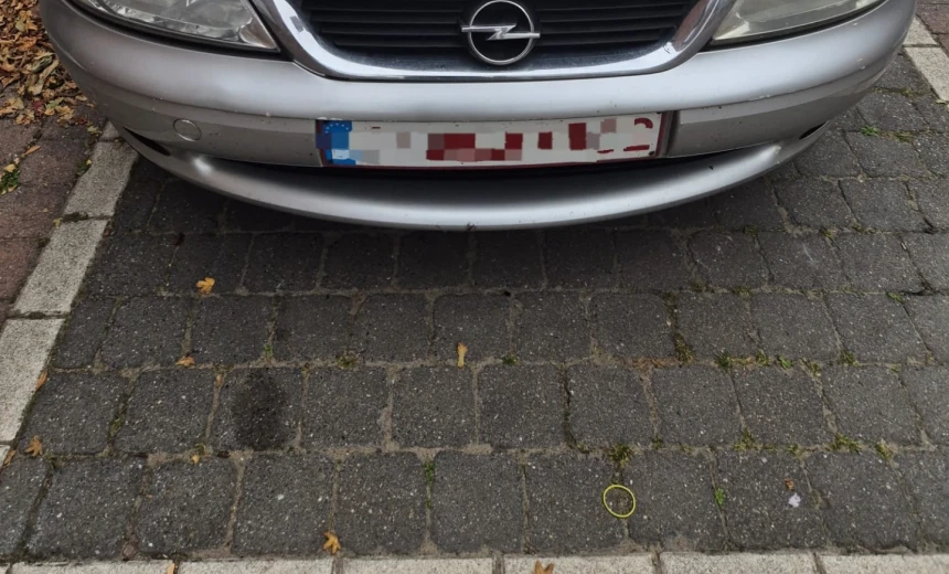 Opel Vectra 2000 Gasoline Manual Image 2