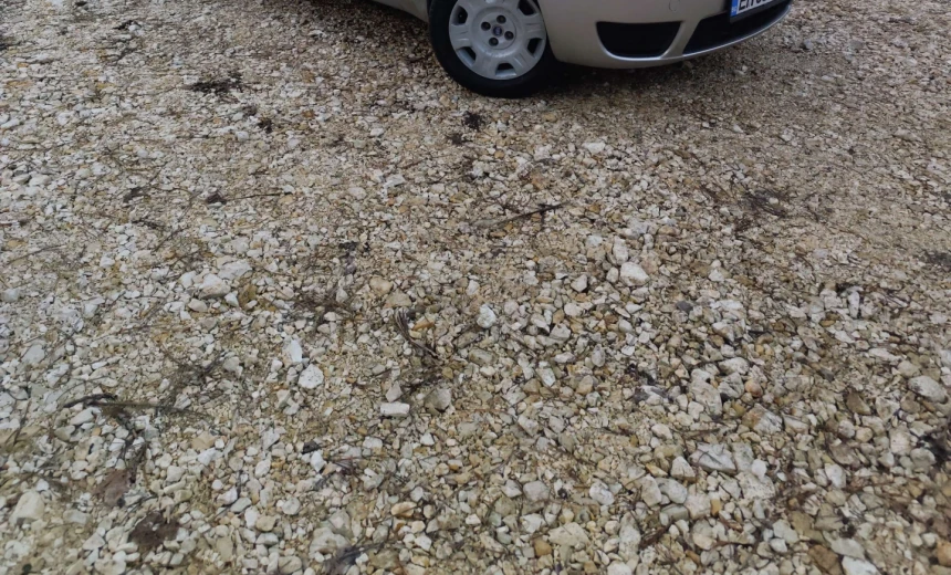 Fiat Punto 2004 Gasoline Manual Image 1