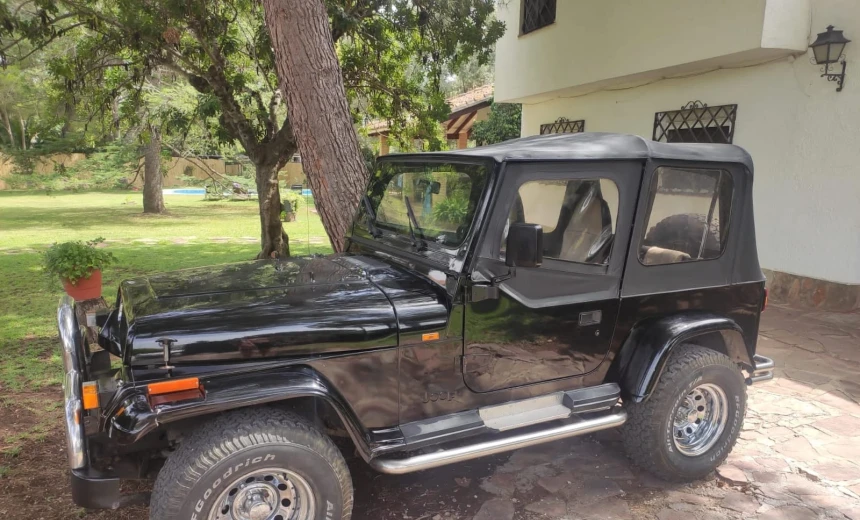 Jeep Wrangler 1993 Gasoline Manual Image 1