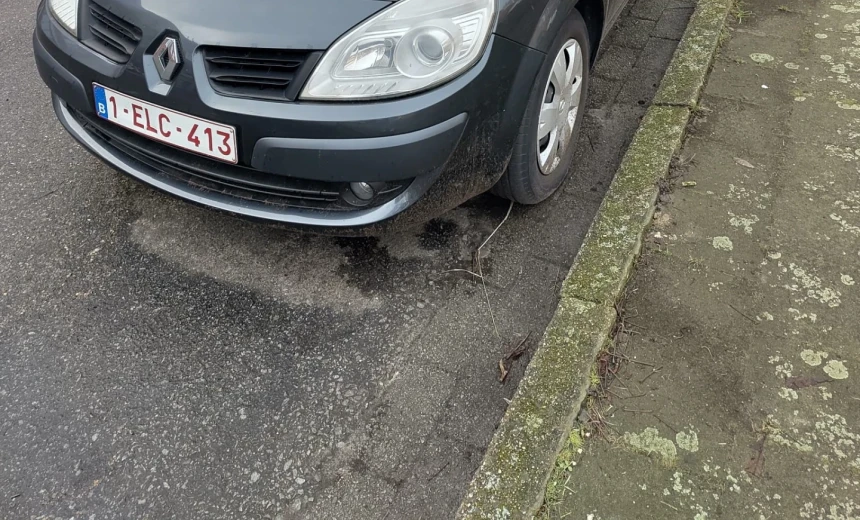 Renault Grand Scenic 2008 Gasoline Manual Image 2