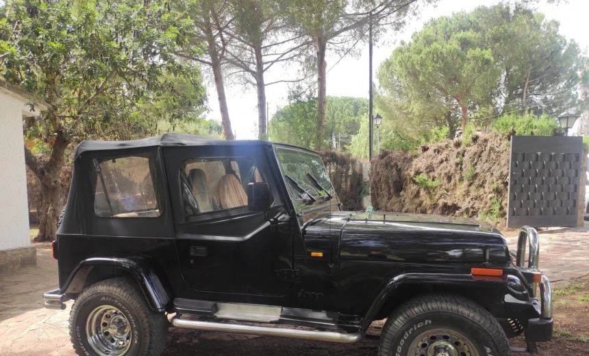 Jeep Wrangler 1993 Gasoline Manual Image 3