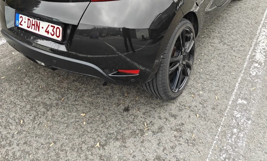 Renault Wind 2012 Gasoline Manual Image 4