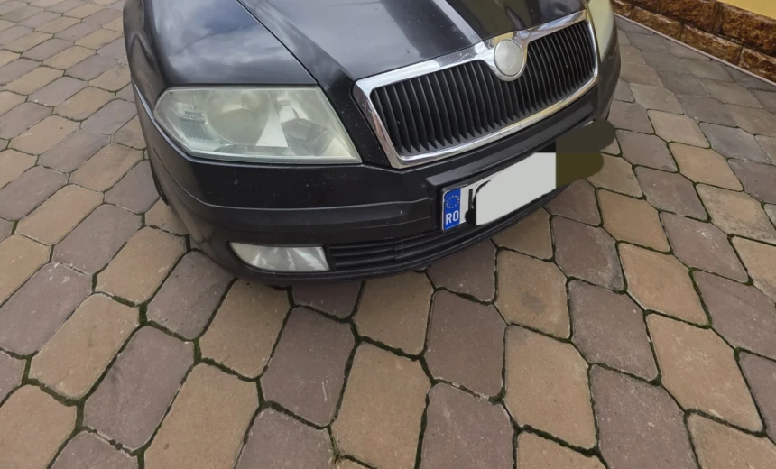 Skoda Octavia 2007 Gasoline Manual Image 0