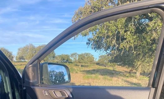 Ford Ranger 2001 Diesel Automatic Image 2