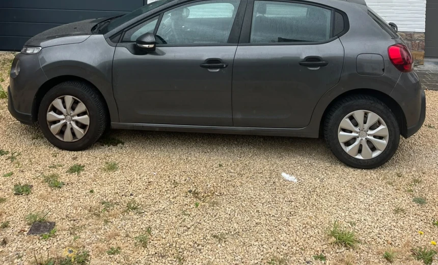 Citroen C3 2018 Gasoline Manual Image 7
