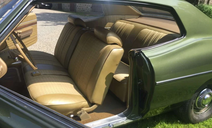 Pontiac Catalina Safari 1969 Gasoline Automatic Image 4