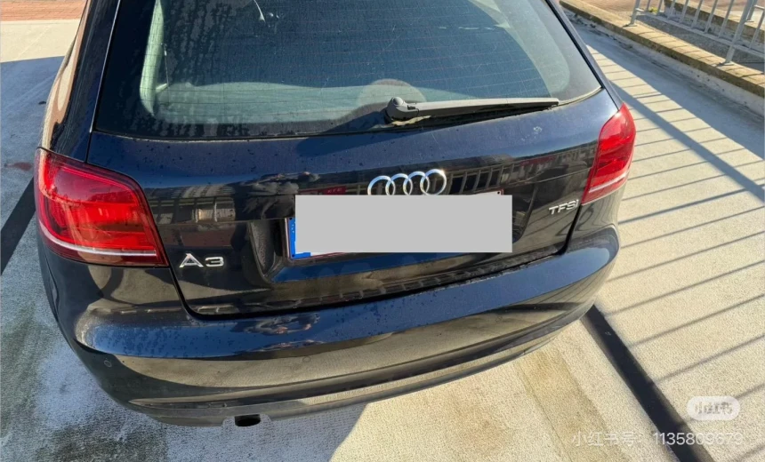 Audi A3 2010 Gasoline Manual Image 3