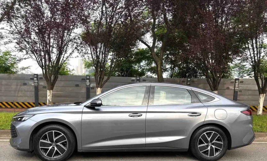 BYD Others 2024 Hydrogen Automatic Image 3