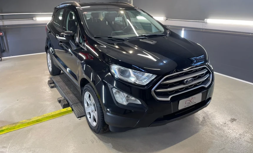 Ford EcoSport 2018 Gasoline Manual Image 6