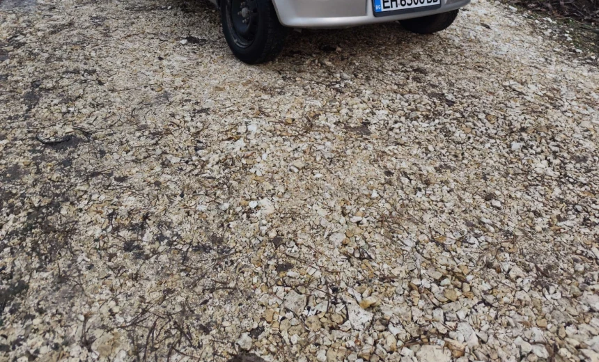 Fiat Punto 2004 Gasoline Manual Image 2