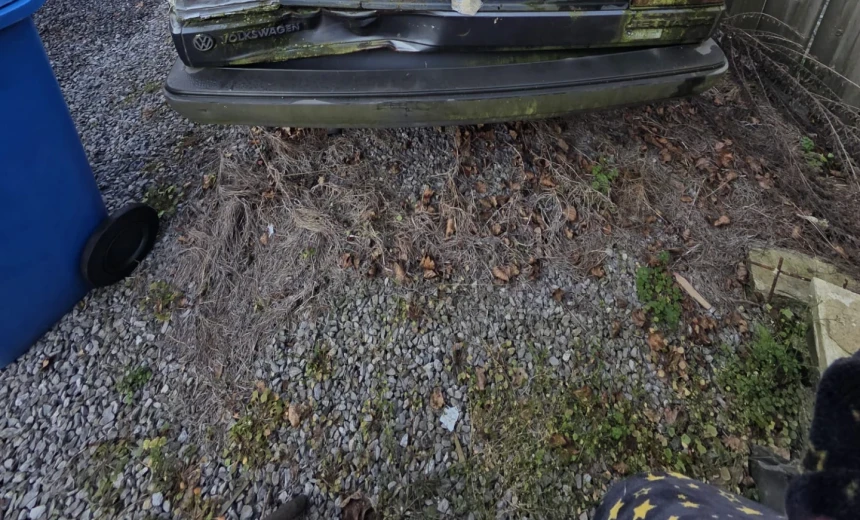 Volkswagen Jetta 1987 Gasoline Manual Image 1