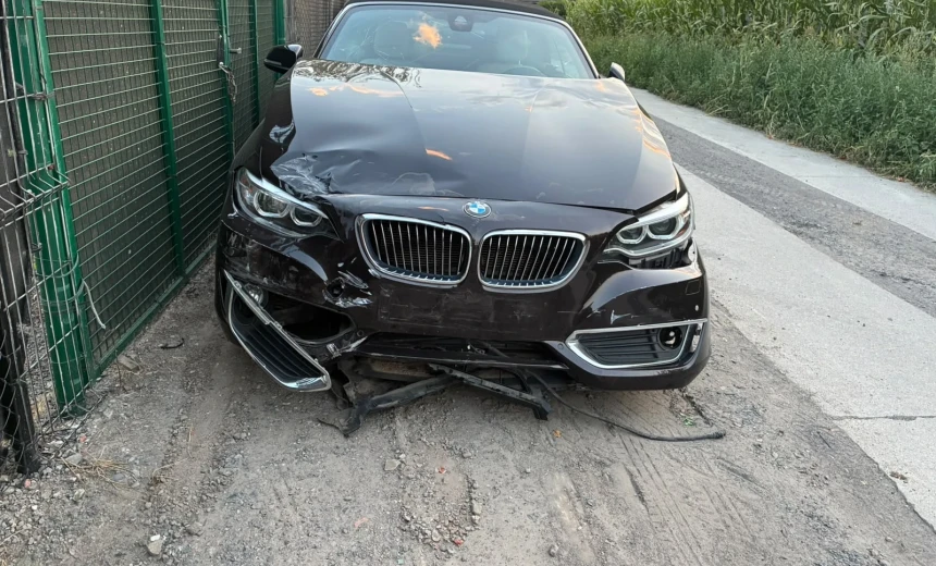 BMW 218 2015 Gasoline Automatic Image 3