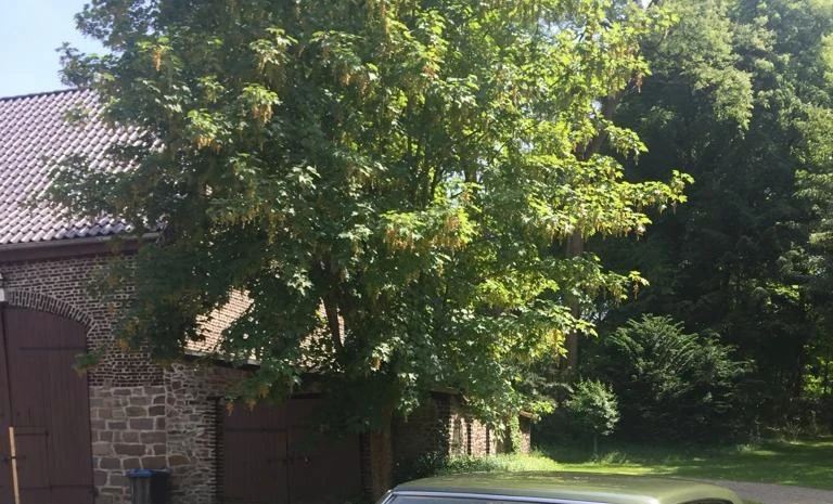 Pontiac Catalina Safari 1969 Gasoline Automatic Image 0