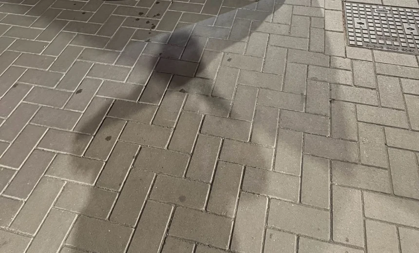 Volkswagen Golf 2021 Gasoline Automatic Image 4