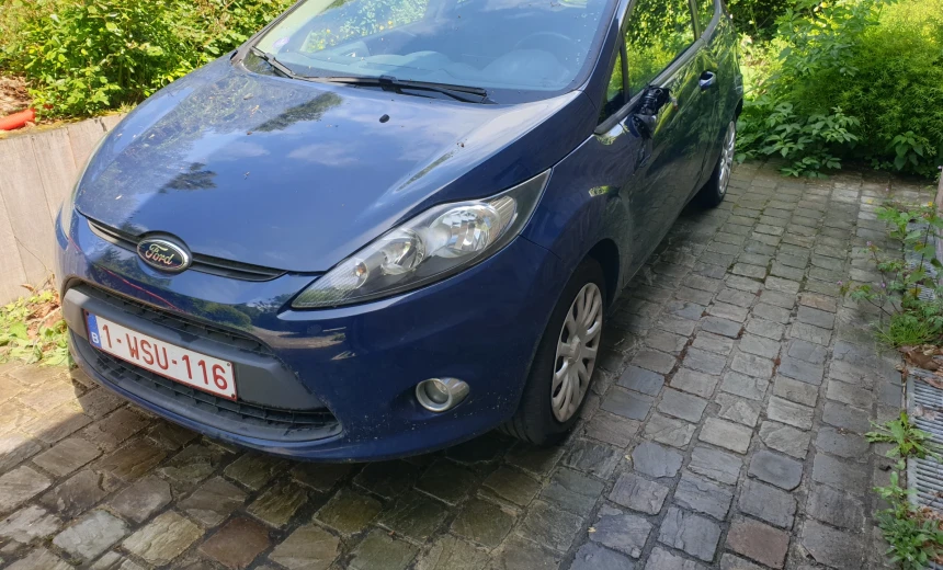Ford Fiesta 2012 Manual Image 0
