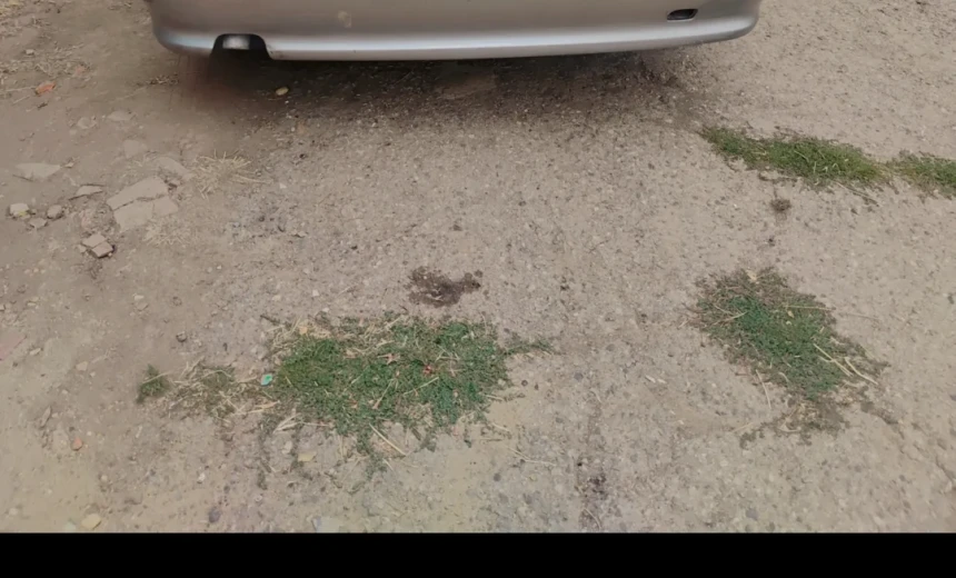 Peugeot 406 1999 Diesel Manual Image 3