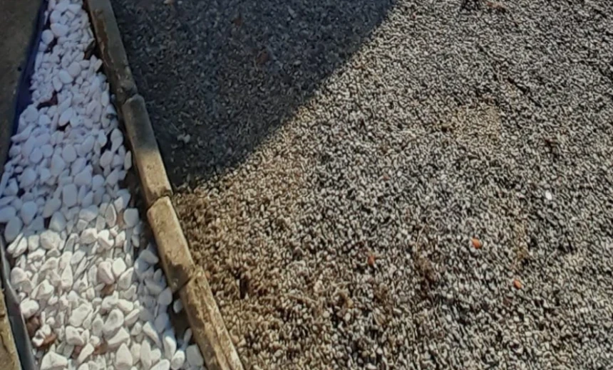 Renault Clio 2007 Gasoline Automatic Image 1