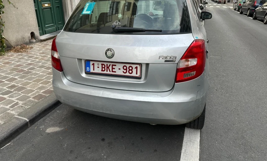 Skoda Fabia 2009 Gasoline Manual Image 3