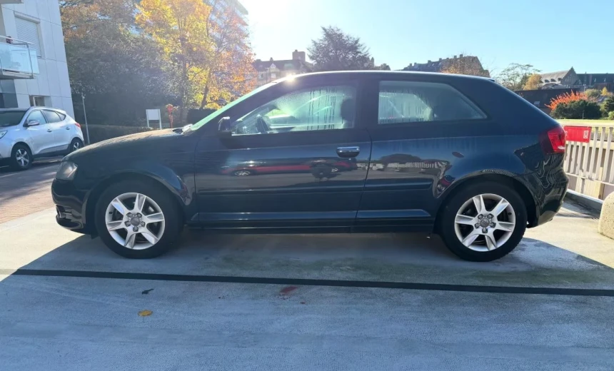 Audi A3 2010 Gasoline Manual Image 2