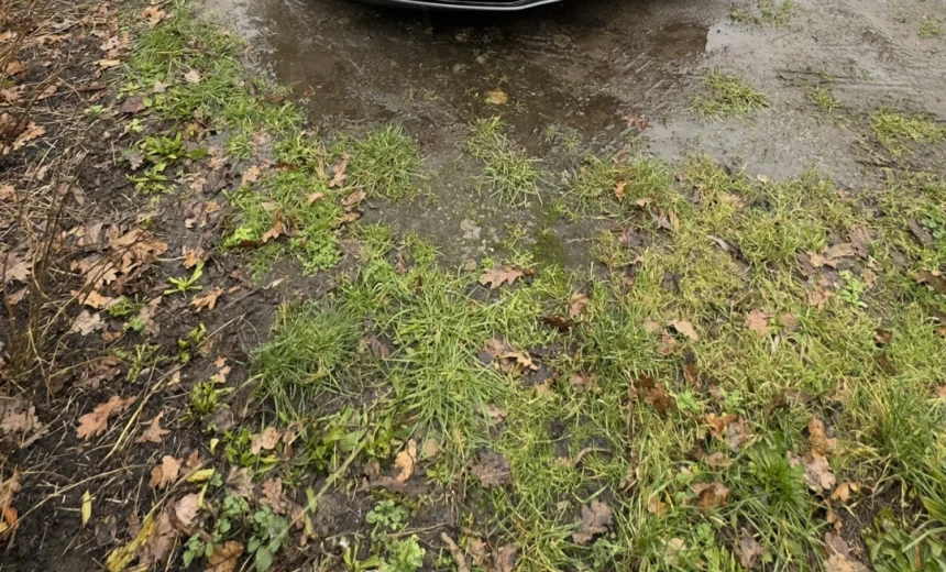 Audi e-tron GT 2022 Electric Automatic Image 0