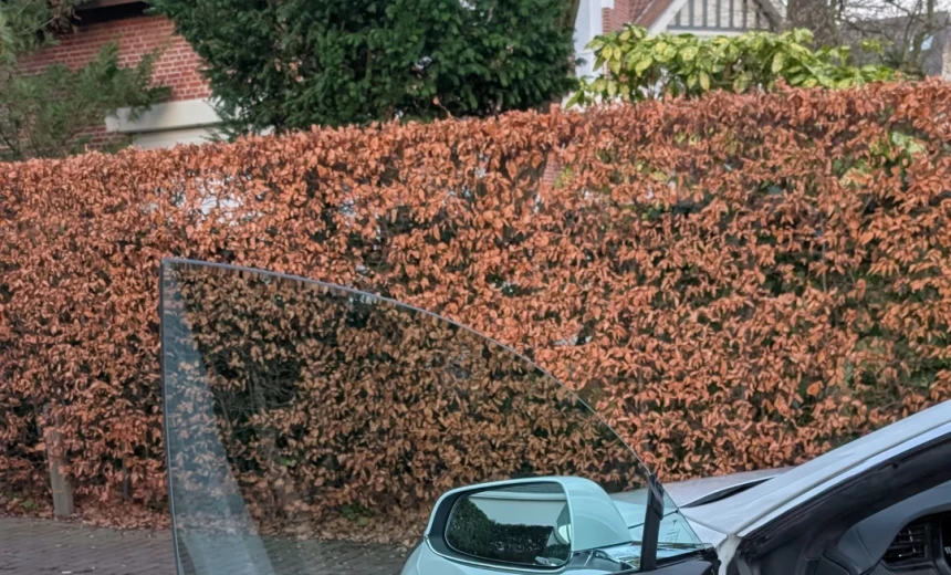 Tesla Model S 2019 Electric Automatic Image 13