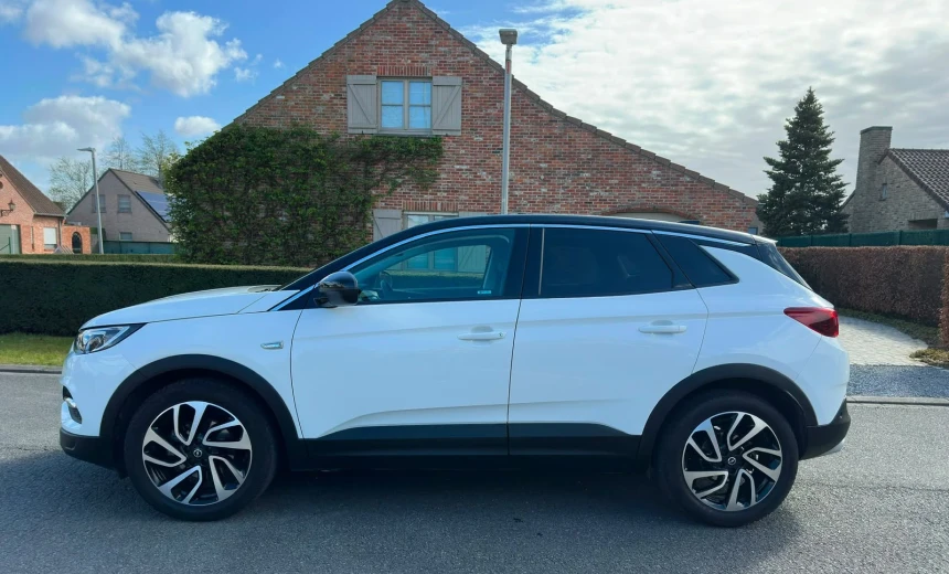 Opel Grandland X 2019 Gasoline Manual Image 4