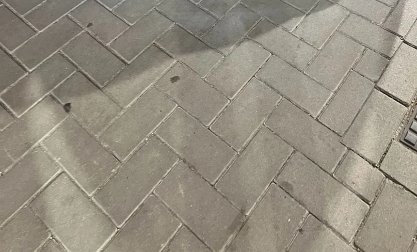 Volkswagen Golf 2021 Gasoline Automatic Image 12