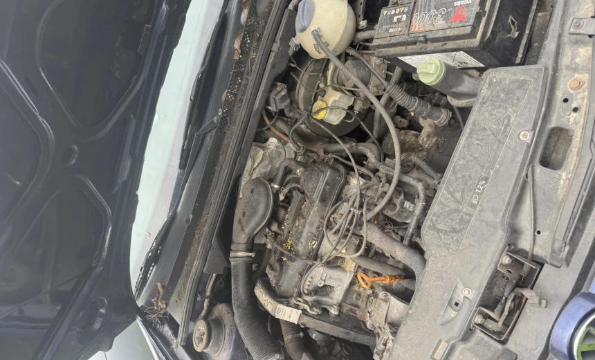 Volkswagen Golf Cabriolet 1998 Gasoline Manual Image 1